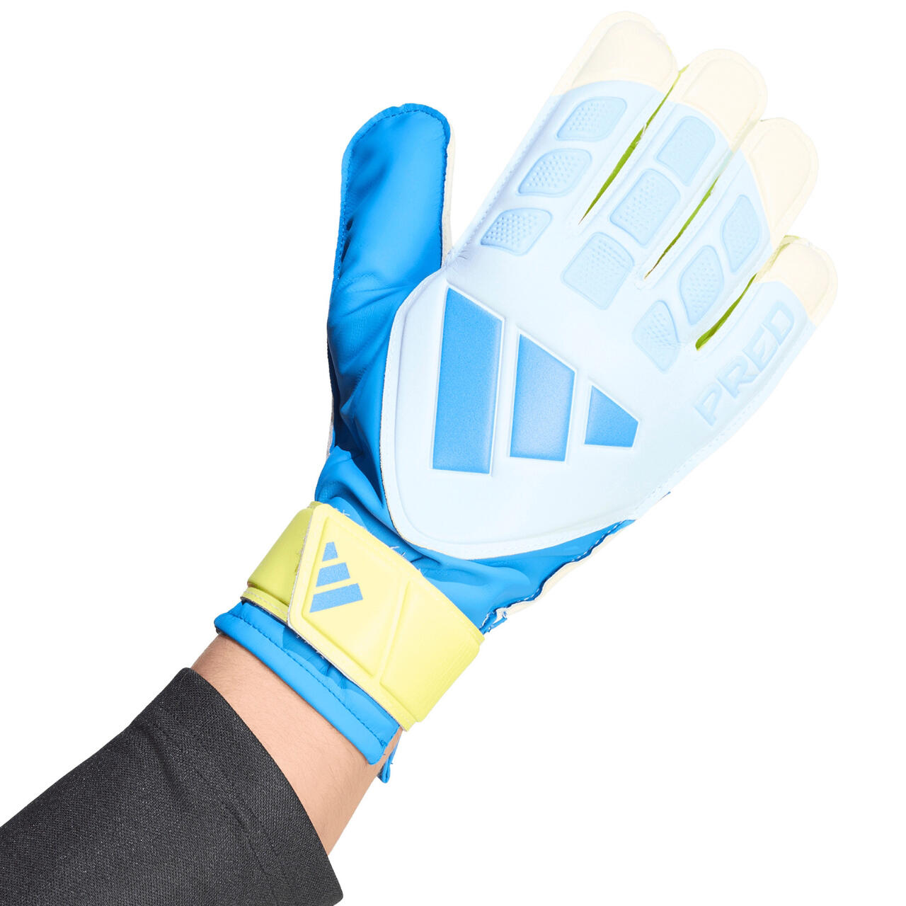 Gants de gardien adidas Predator Training 2/7