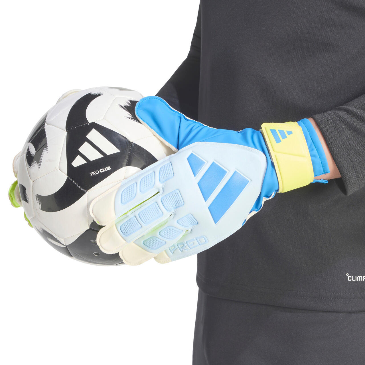 Gants de gardien adidas Predator Training 7/7