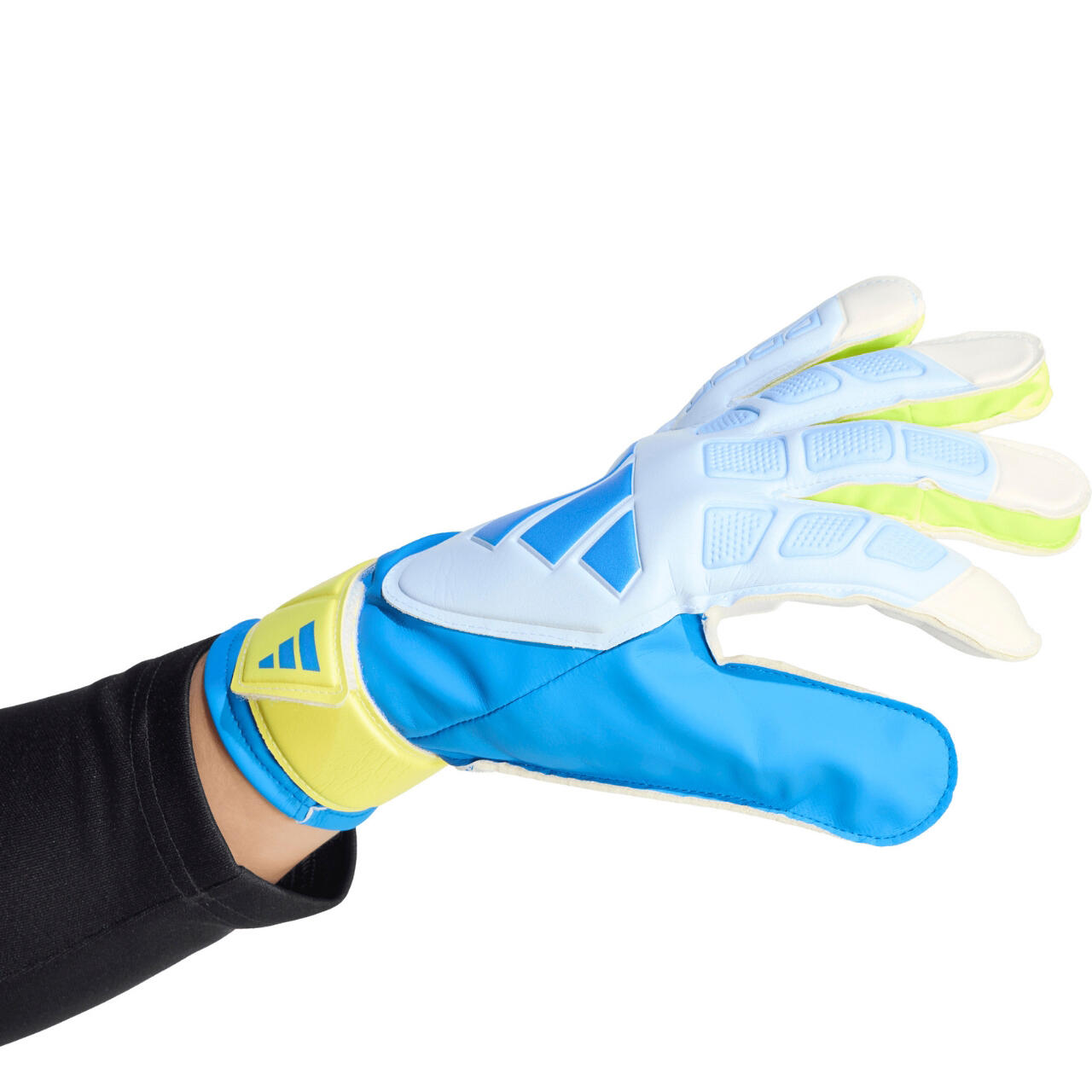 Gants de gardien adidas Predator Training 4/7
