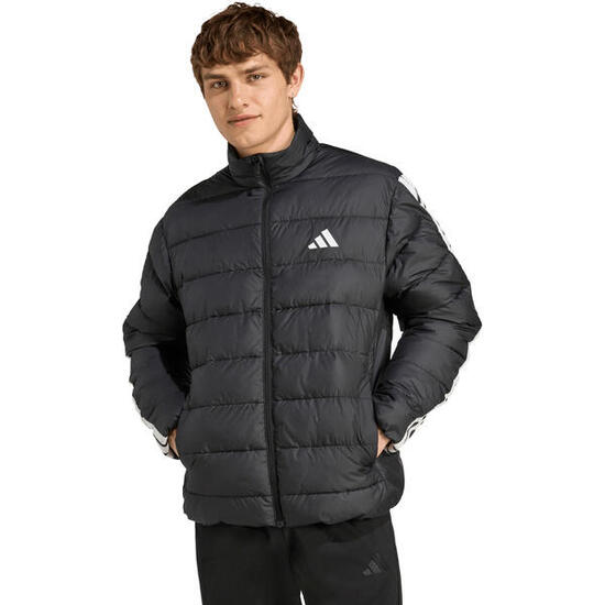 Veste adidas Essentials 3-Stripes pour homme