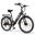 Bicicletă electrică ESKUTE C100 Plus 26" pentru navetiști, baterie 36V 13Ah
