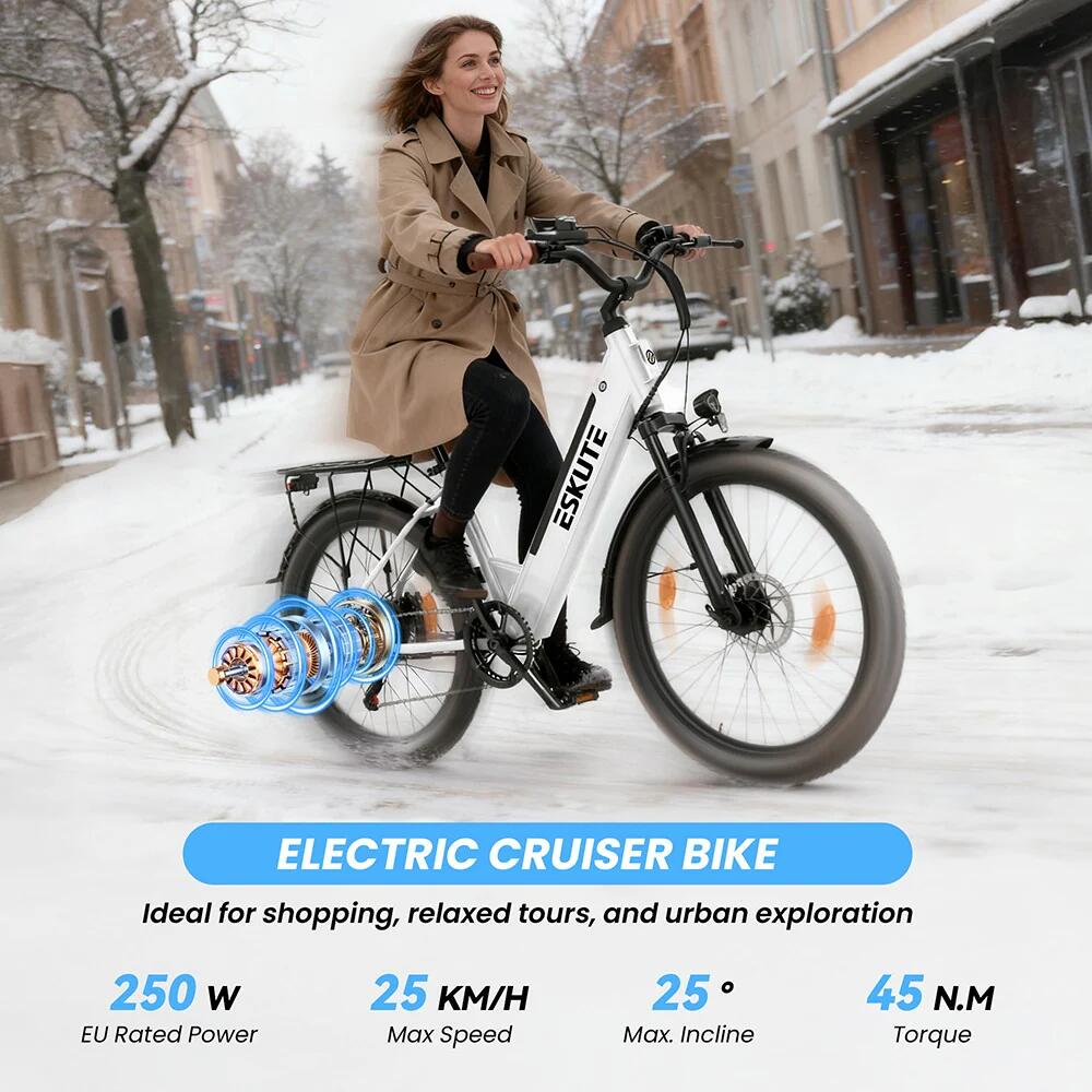 Bicicletta elettrica da città ESKUTE C100 Plus 26" con batteria da 36V 13Ah 6/7