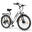 Bicicletă electrică ESKUTE C100 Plus 26" pentru navetiști, baterie 36V 13Ah