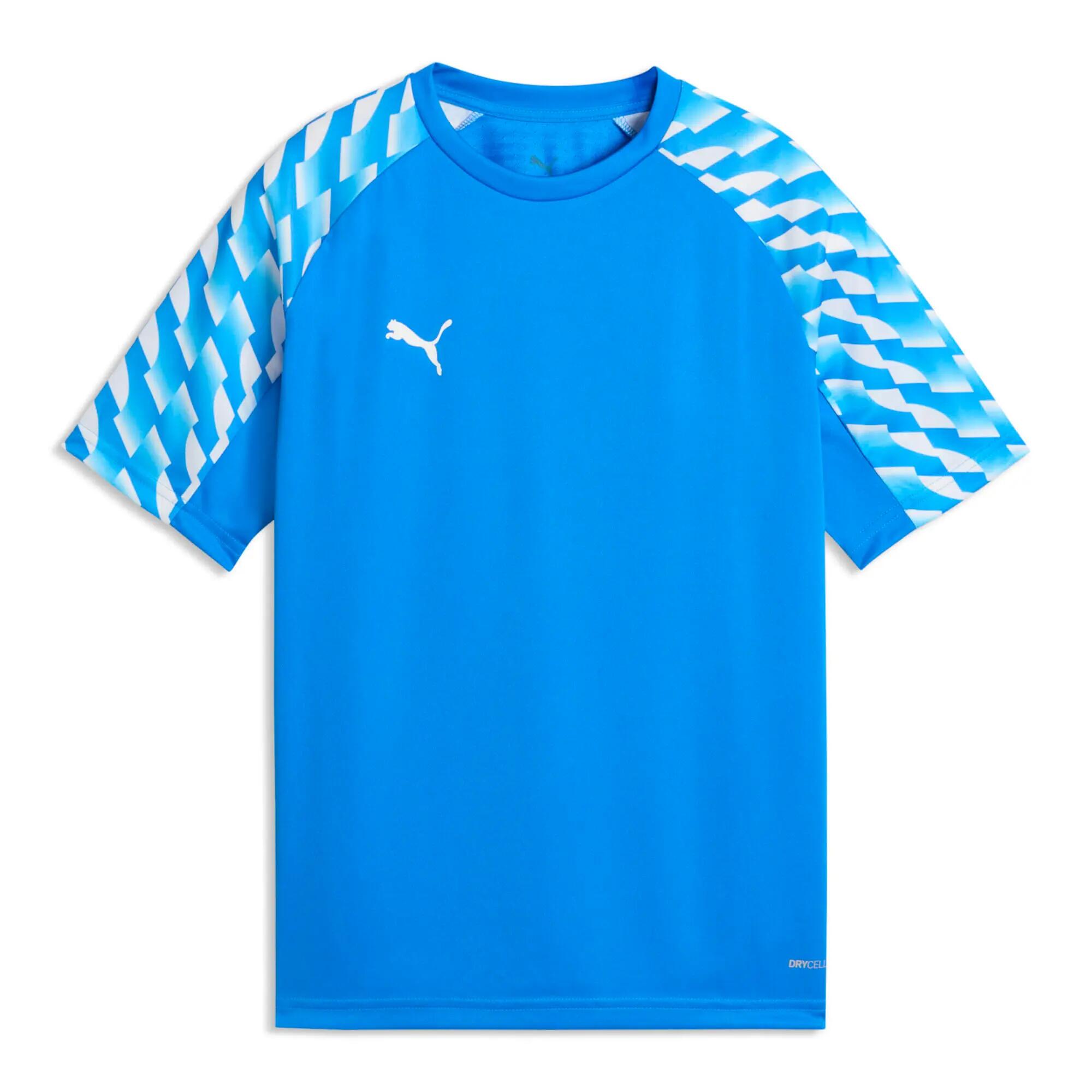 PUMA picture