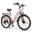 Bicicletă electrică ESKUTE C100 Plus 26" pentru navetiști, baterie 36V 13Ah