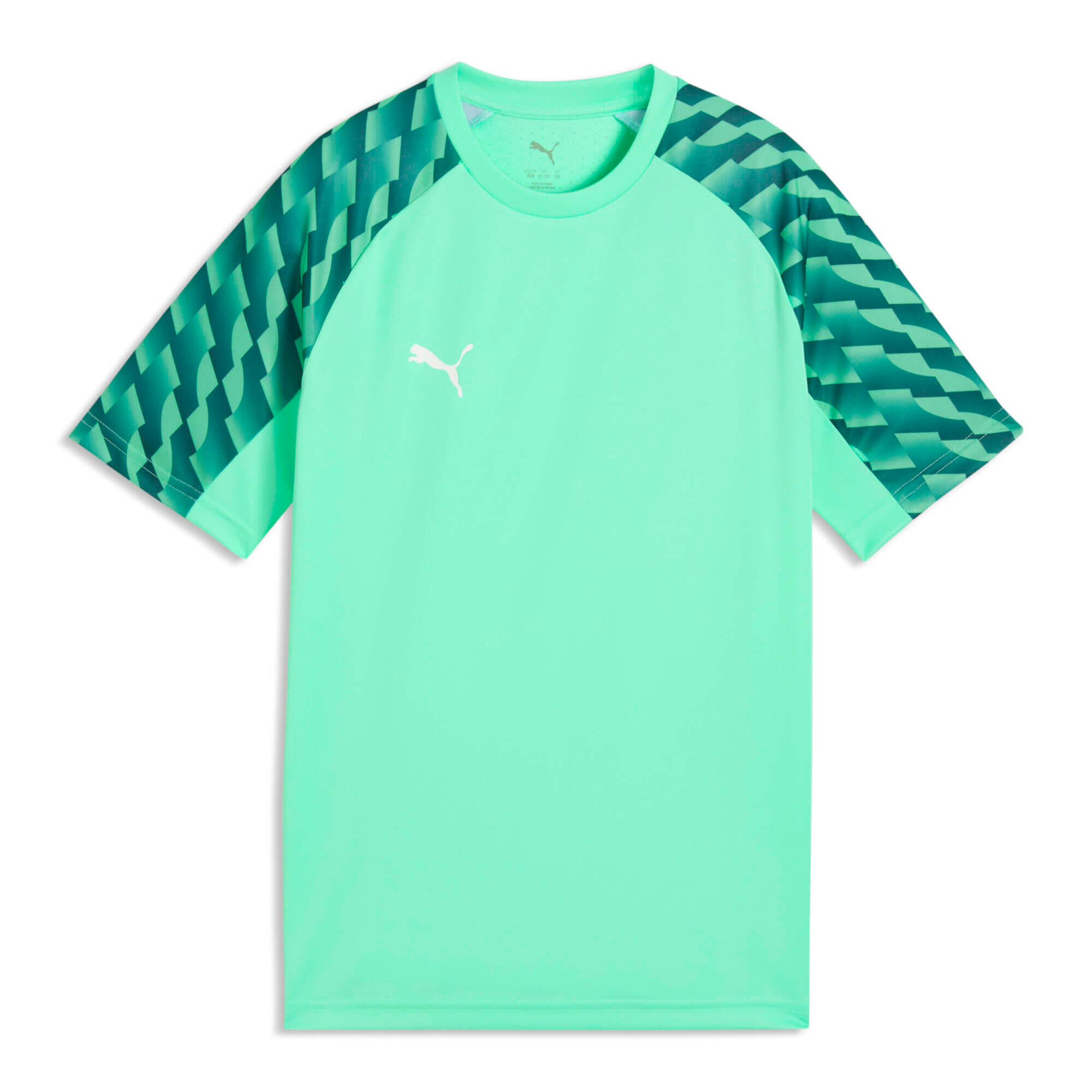 PUMA picture