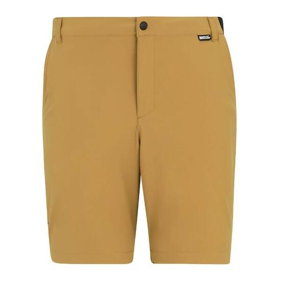 Short Homme - REGATTA Travel Short Antinsect - Wood Brown