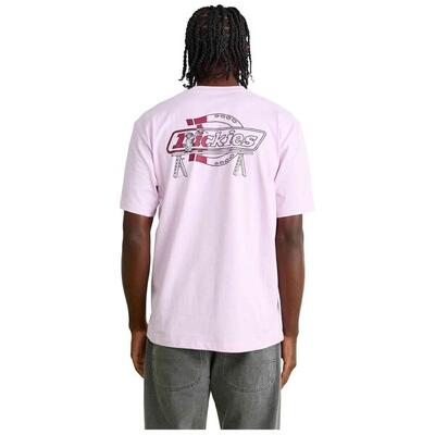 T-shirt met korte mouwen dickies model dk0a87qpk731 voor mannen