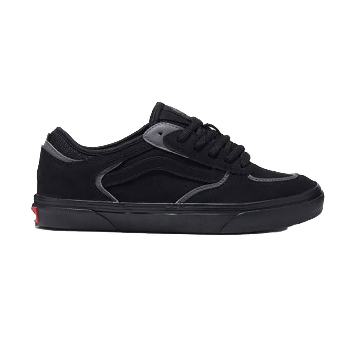 VANS picture