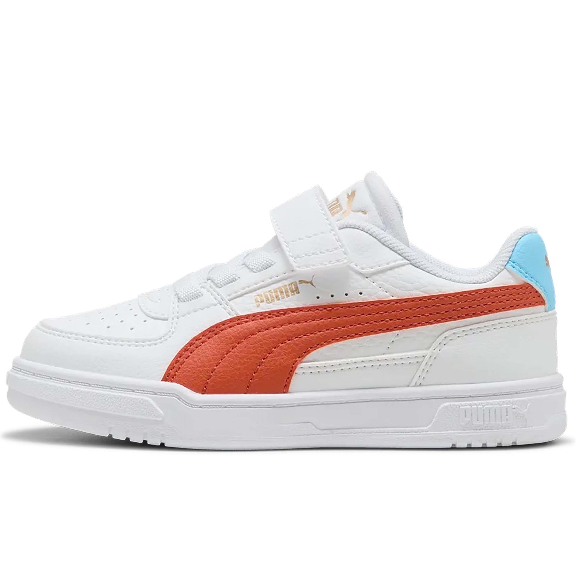 PUMA picture
