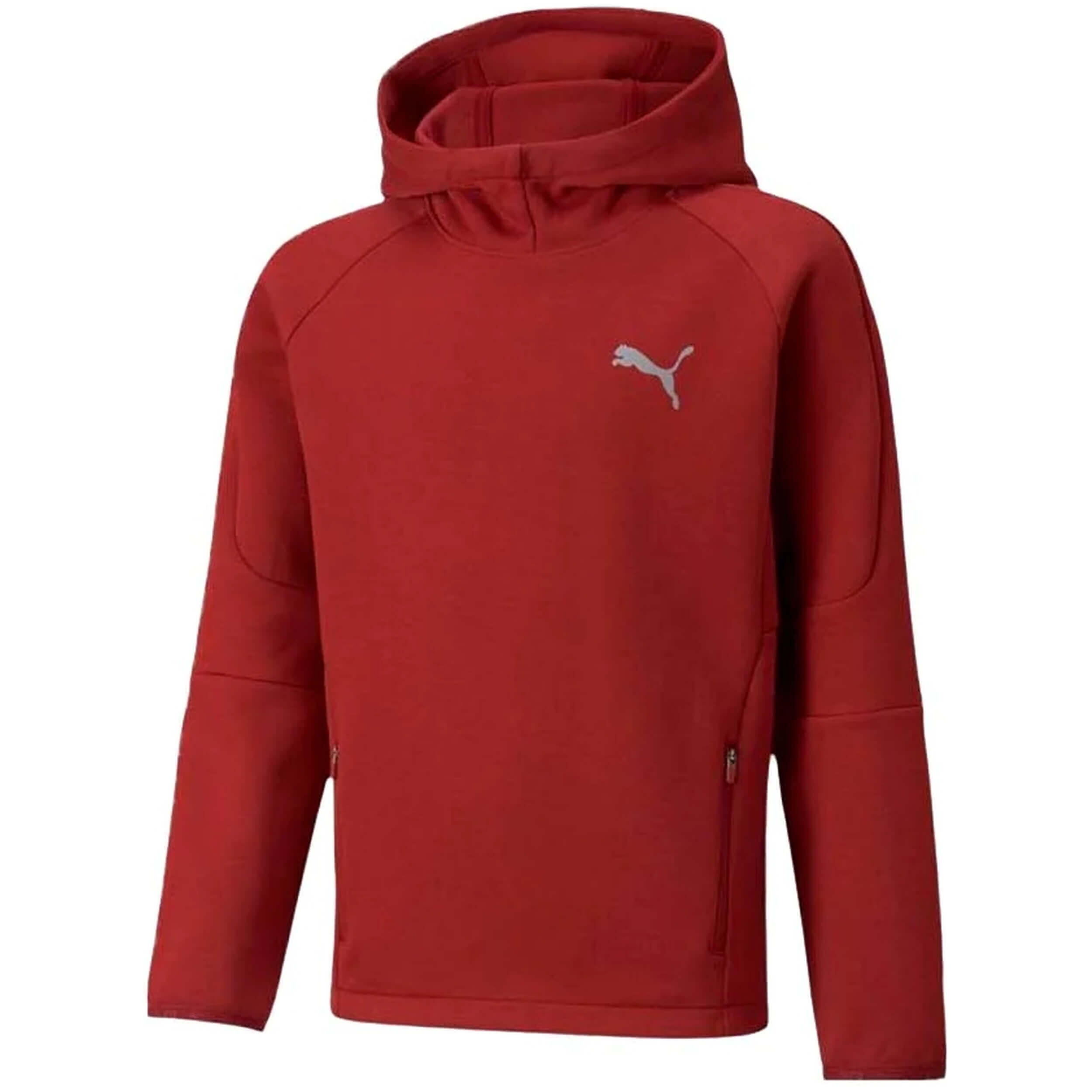 PUMA picture