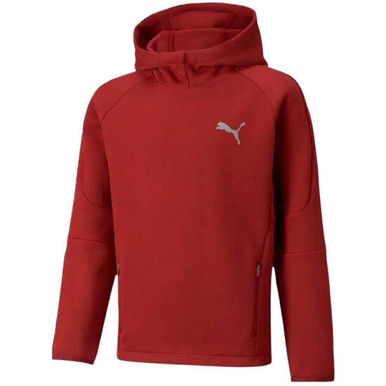 Sweat à capuche Puma modèle 589195_22 pour enfants
