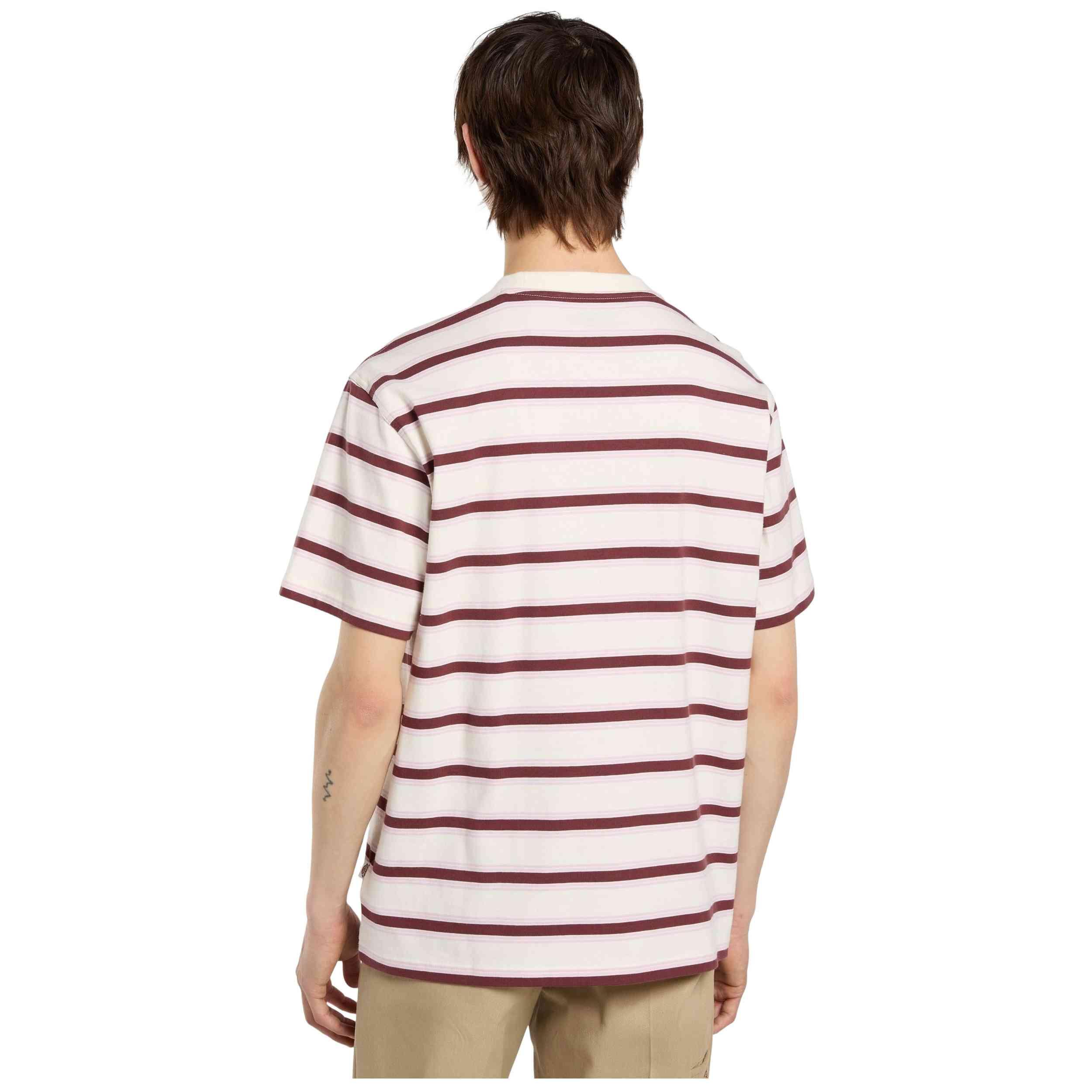 Kurzarmshirt Dickies Modell DK0A87QVC481-2FW5 für männer 3/5