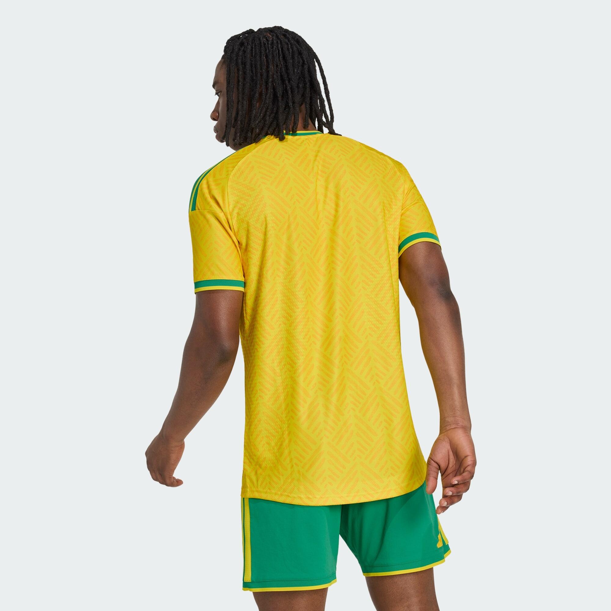South Africa 26 Home Authentic Jersey 4/7