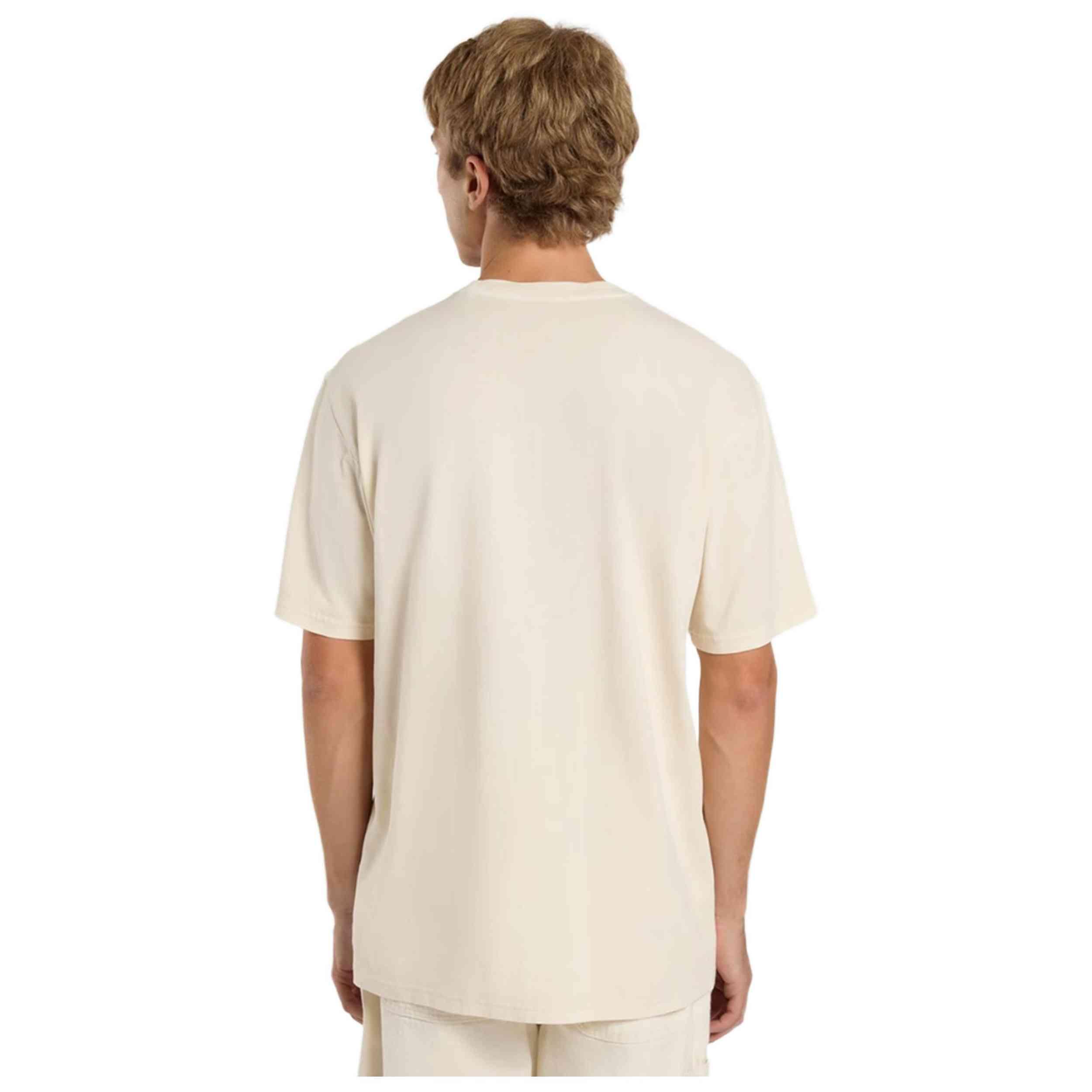 T-shirt Dickies modèle DK0A4Z8YF901 pour homme 2/5