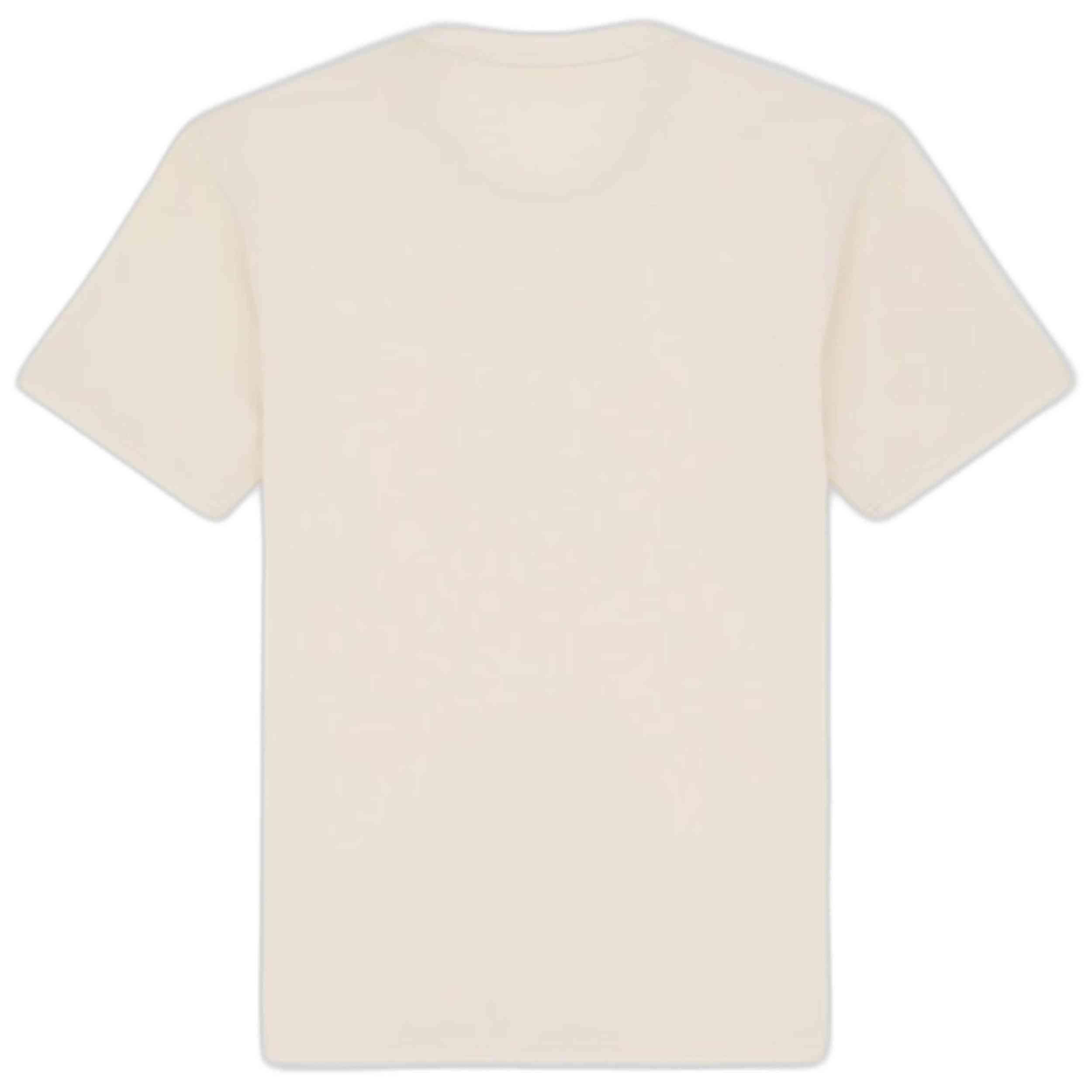 T-shirt Dickies modèle DK0A4Z8YF901 pour homme 5/5