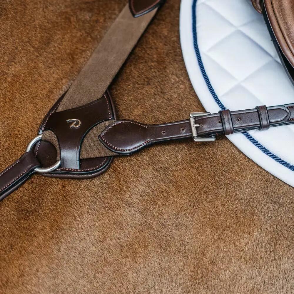Collar de caza para caballos Dy'on NE 5/5