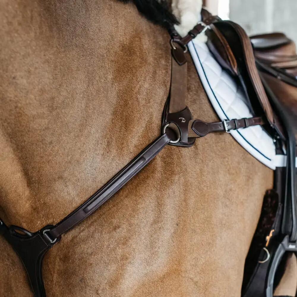 Collar de caza para caballos Dy'on NE 4/5