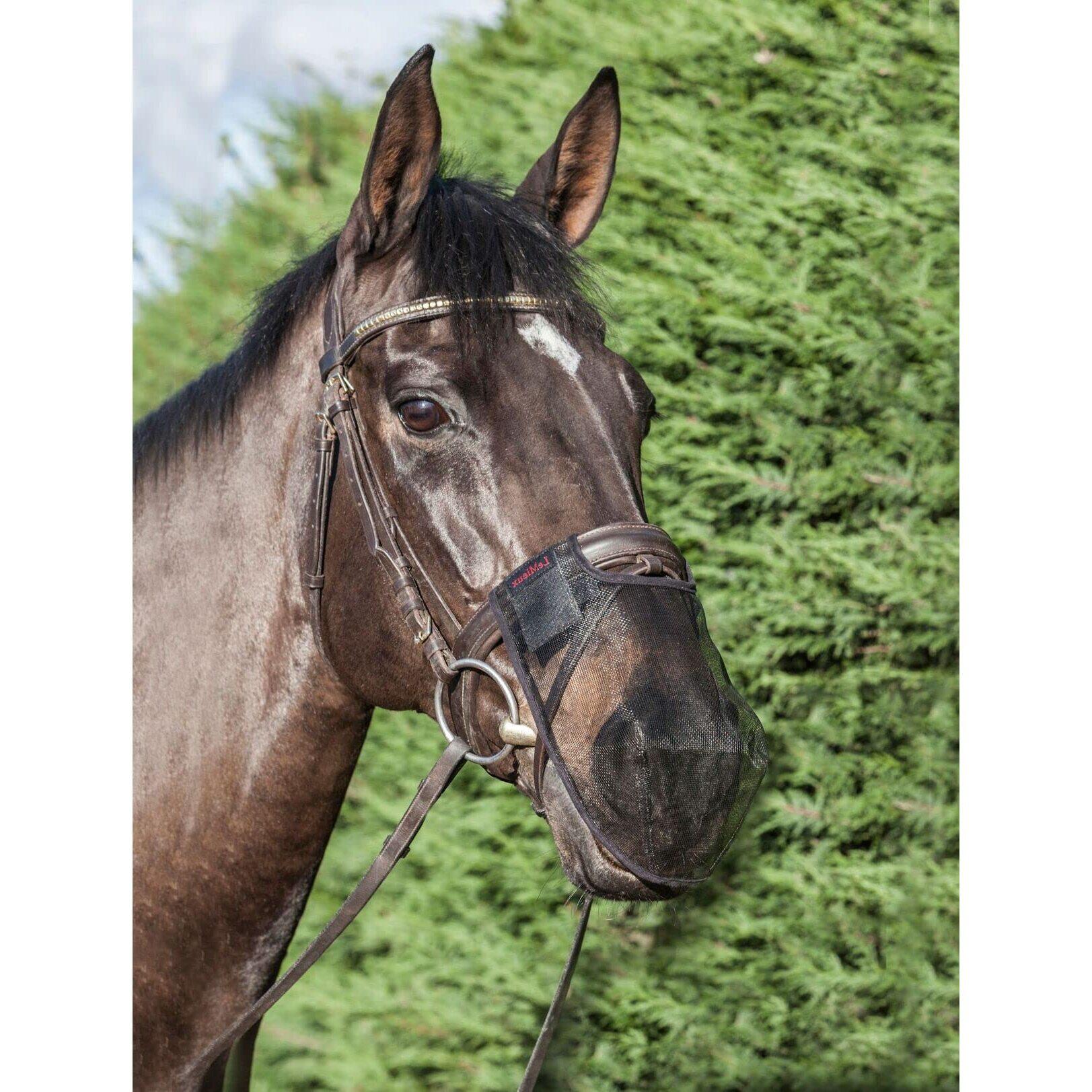 Protection nasale pour cheval LeMieux Comfort Shield 3/4