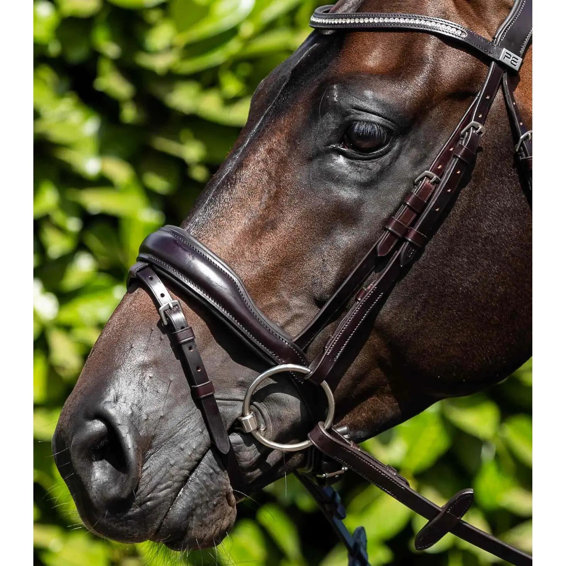 Paire de montant de bride Premier Equine 7/7