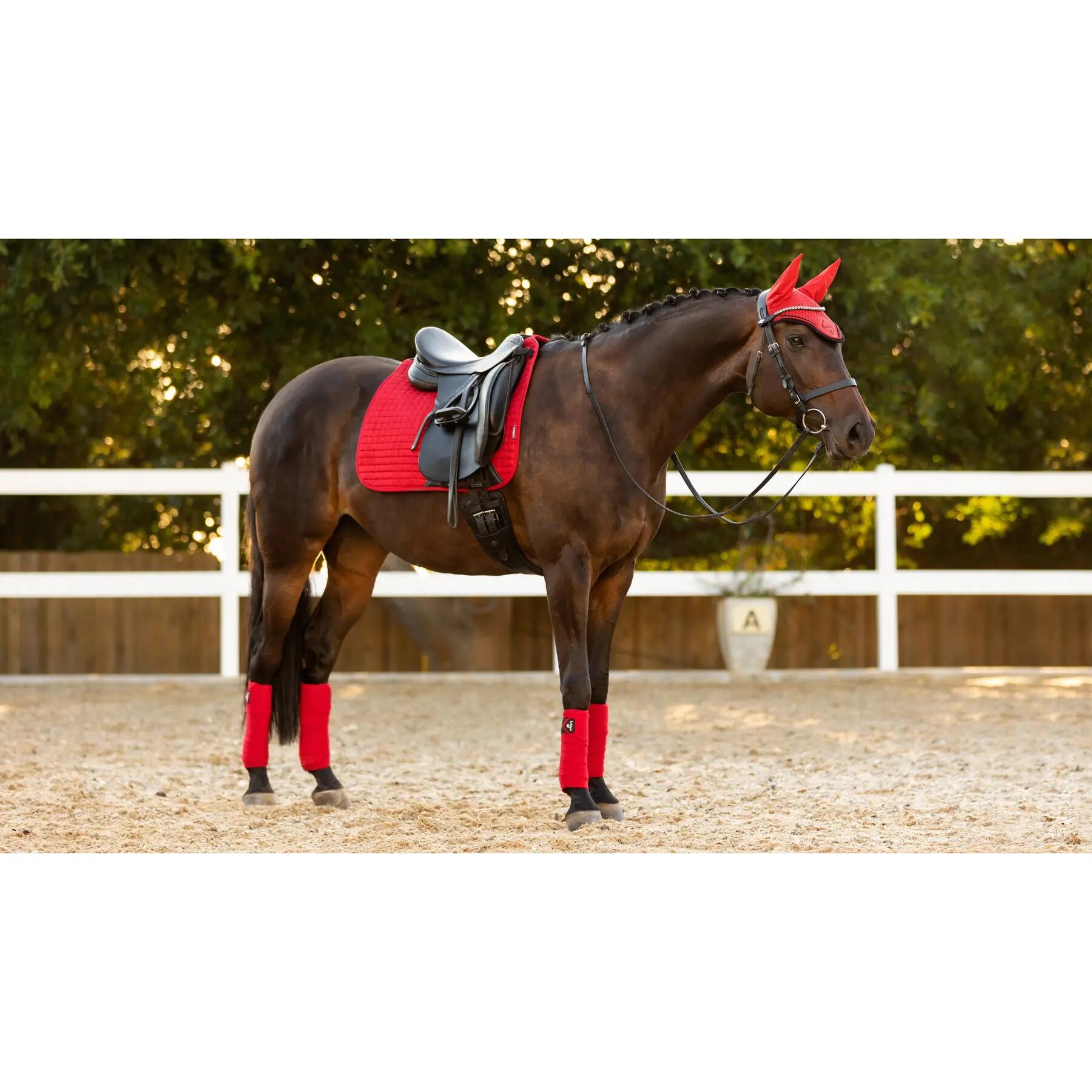 Set van 4 polobanden voor paarden LeMieux Classic 2/3