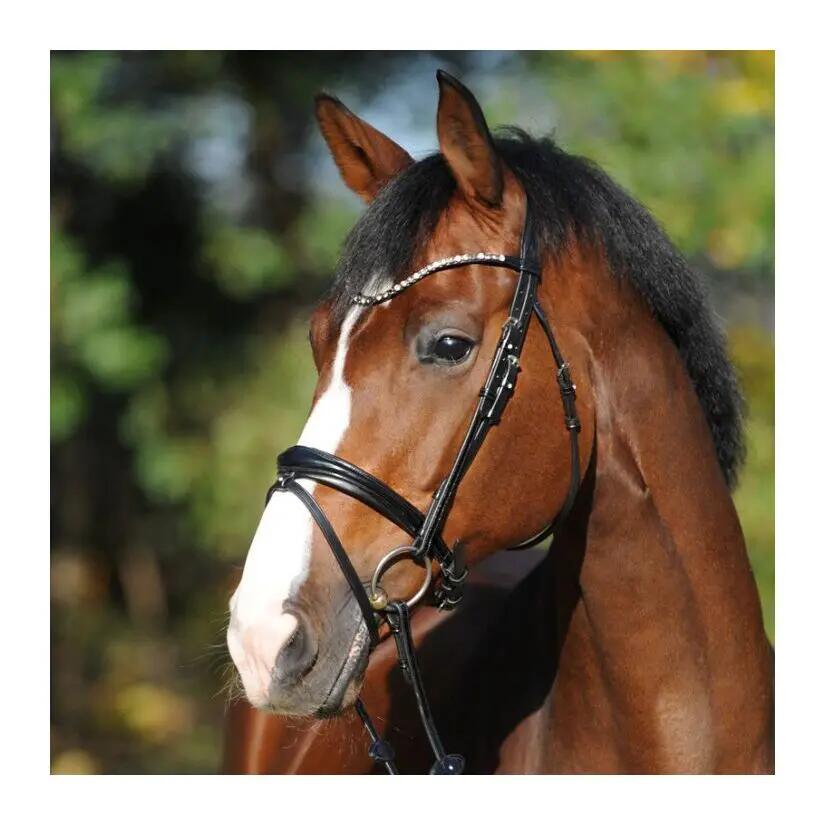 Riding bridles Kavalkade Reyna KavalSH4