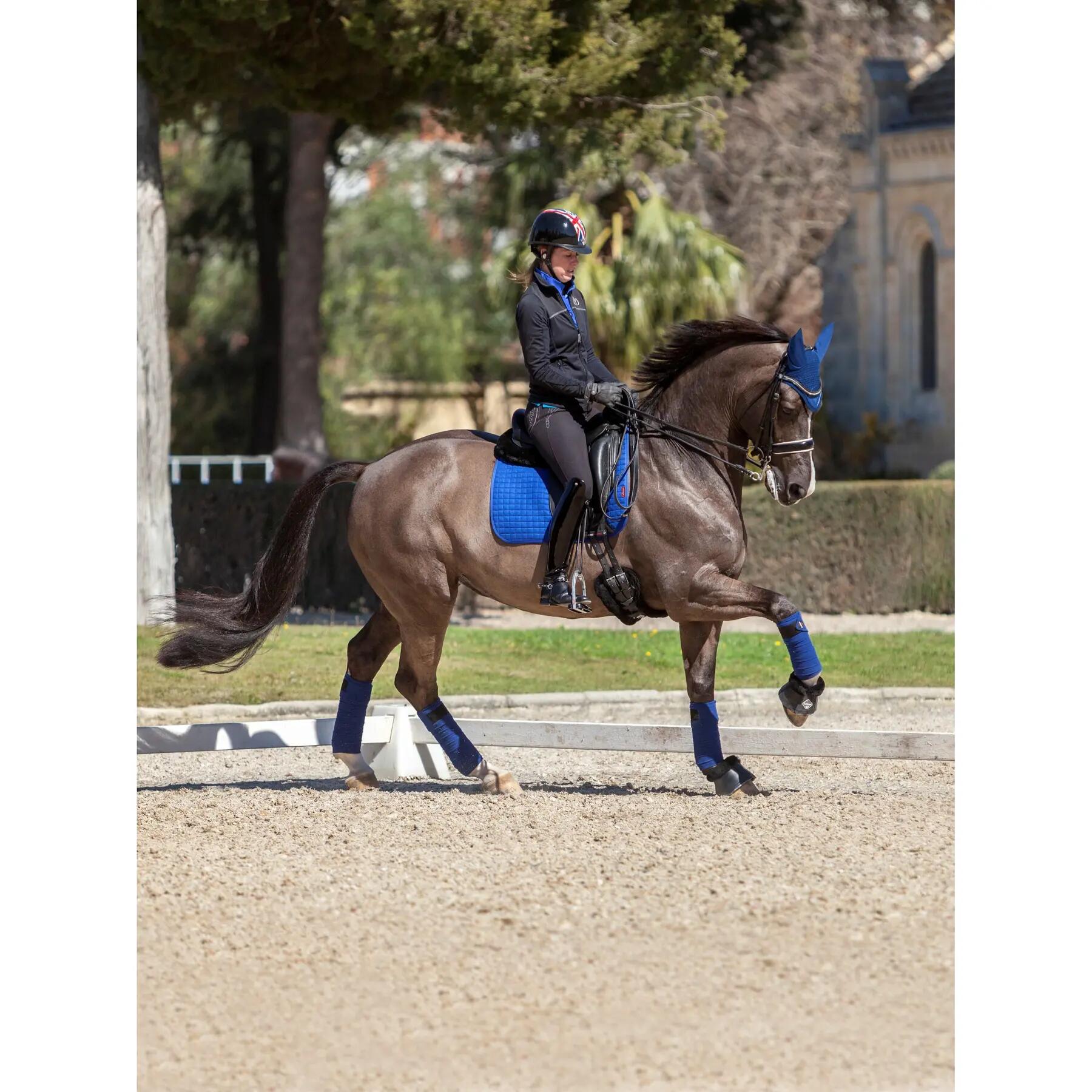 Set van 4 polobanden voor paarden LeMieux Classic 2/2