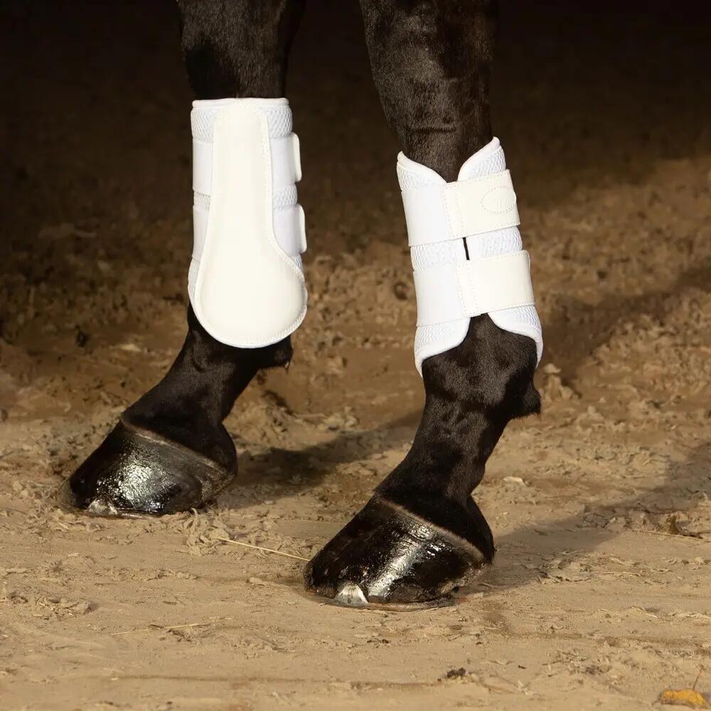 Gamasche für Pferde Harry's Horse Beenbeschermers Flextrainer Air mesh 2/2