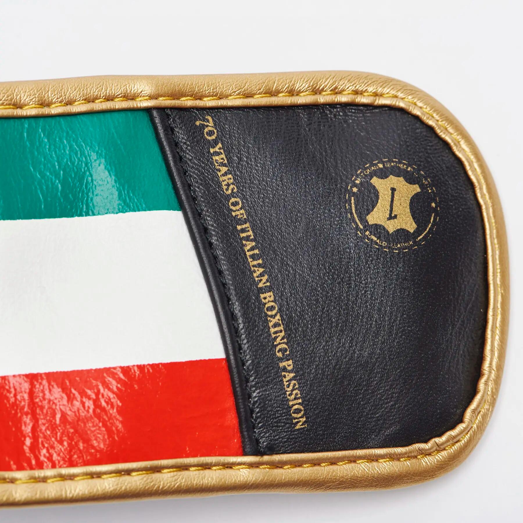 Guantoni da boxe Leone Italy 6/7