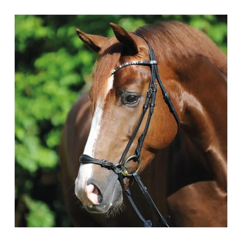 Briglie da equitazione Kavalkade Fiala 2/7