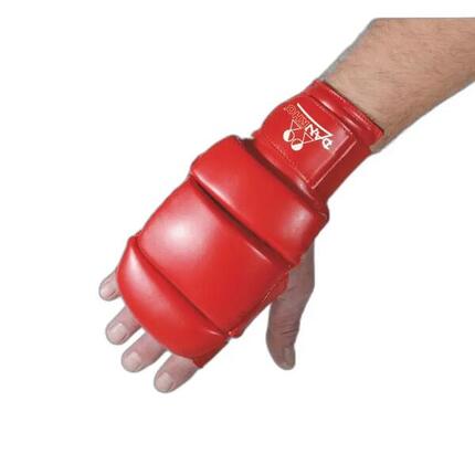 Ju-Jitsu-Handschuhe Danrho