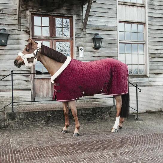 Manta de presentación para caballos Kentucky Velvet 160 g 2/5