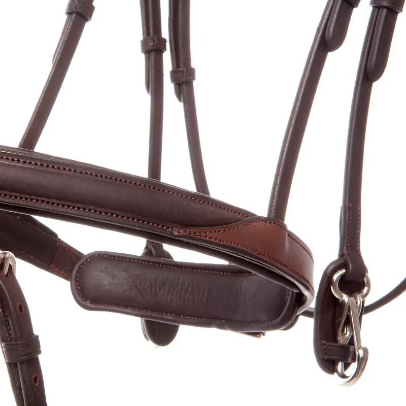 Bridas para caballos Kavalkade Everyday 4/7