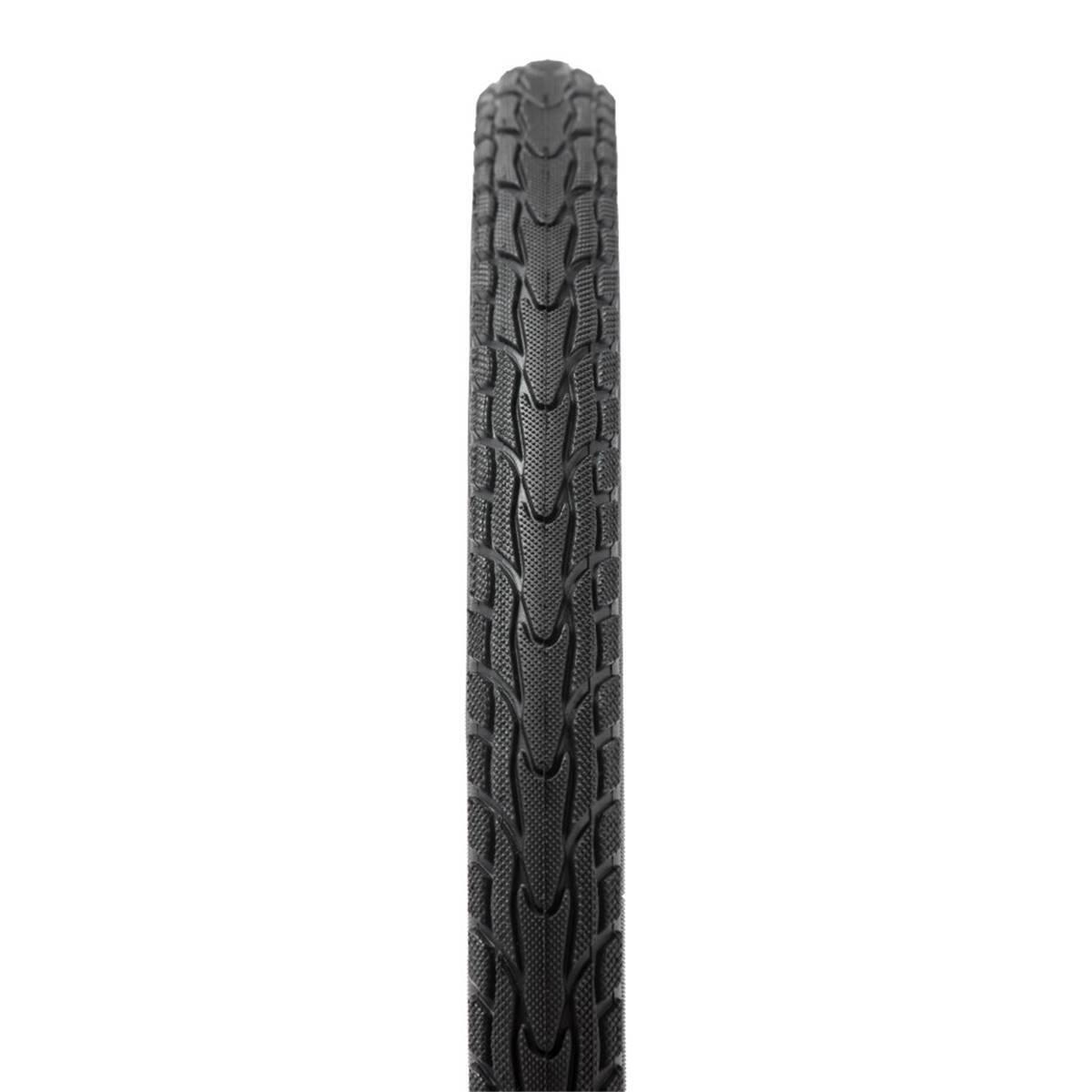 PANARACER picture