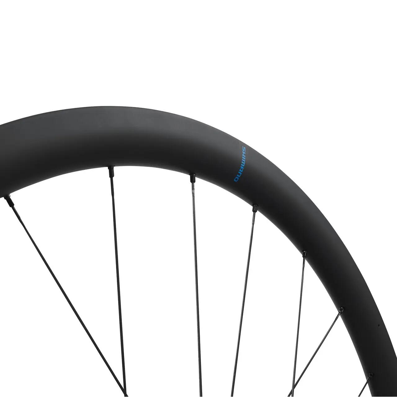 12-Gang-Rad Scheibenbremse center lock Shimano GRX WH-RX880-TL-R12 2/2