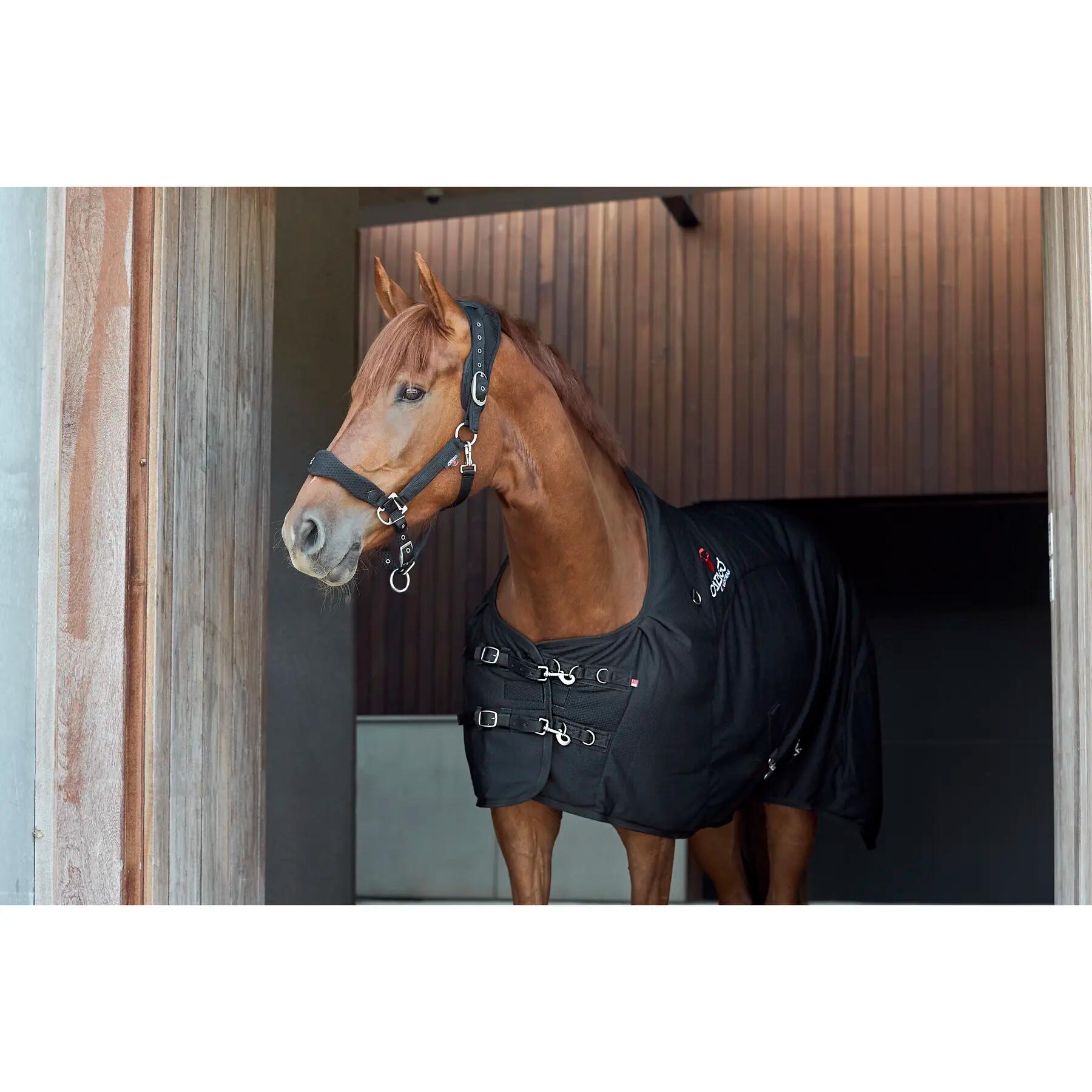 Cabezada Cuadra para caballos Catago FIR-Tech 2/5