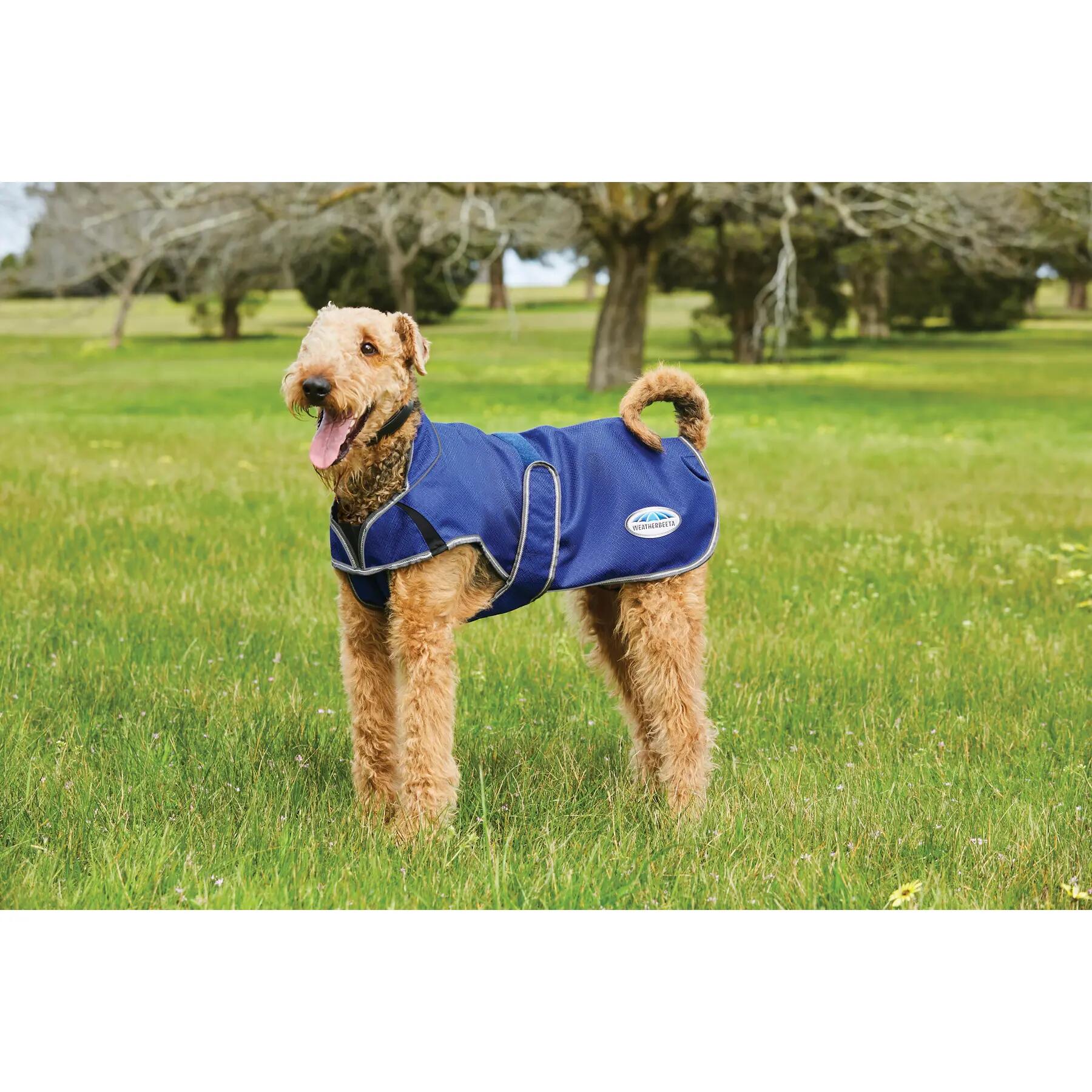 Abrigo para perro Weatherbeeta ComFiTec Premier Free Duo Deluxe Parka 2/3
