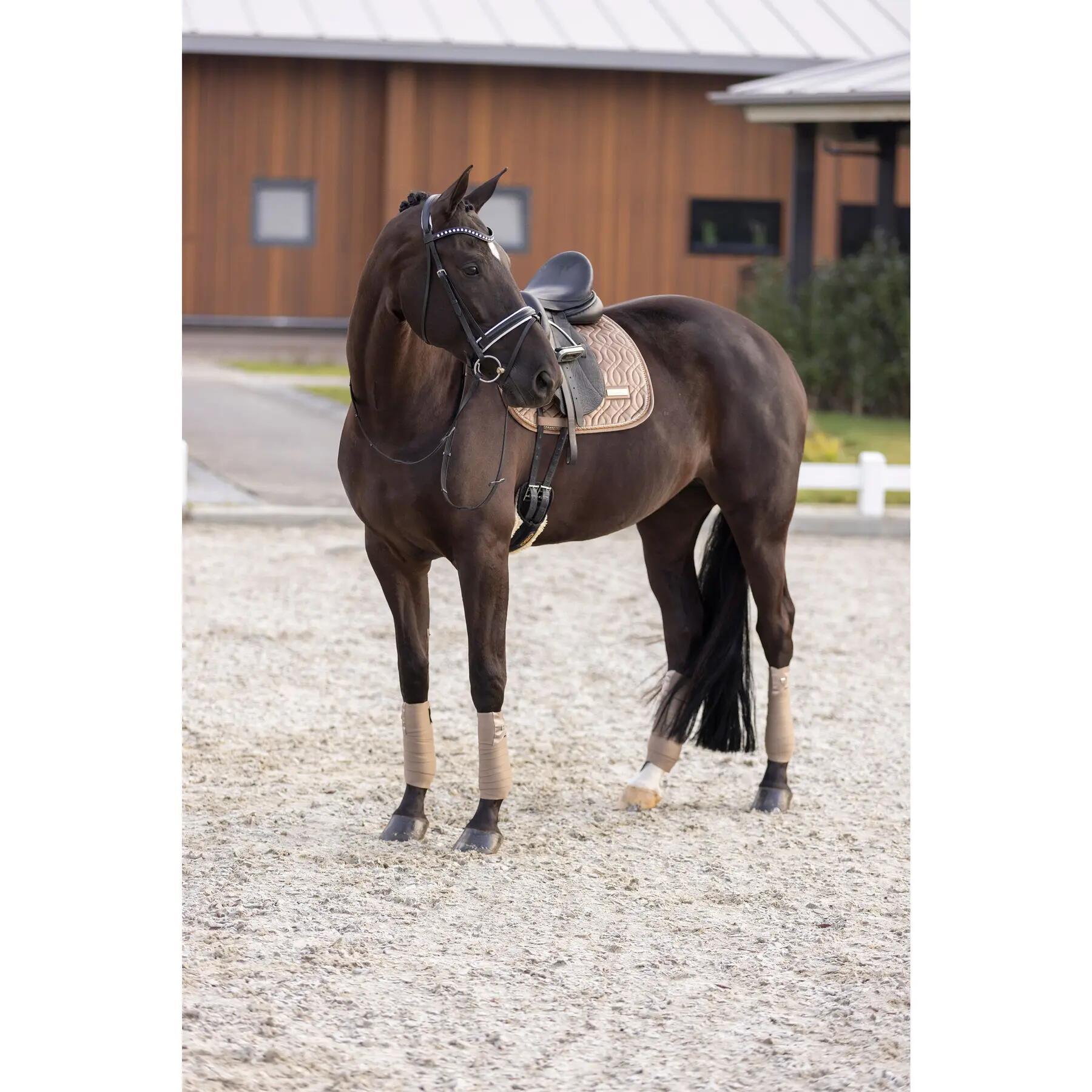 Sella da dressage per cavalli Imperial Riding Sky 2/2