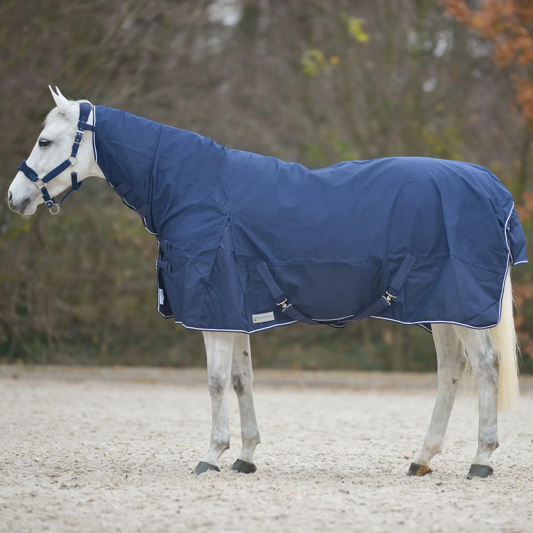Coperta da paddock per cavalli con copricollo Waldhausen Comfort 1/2