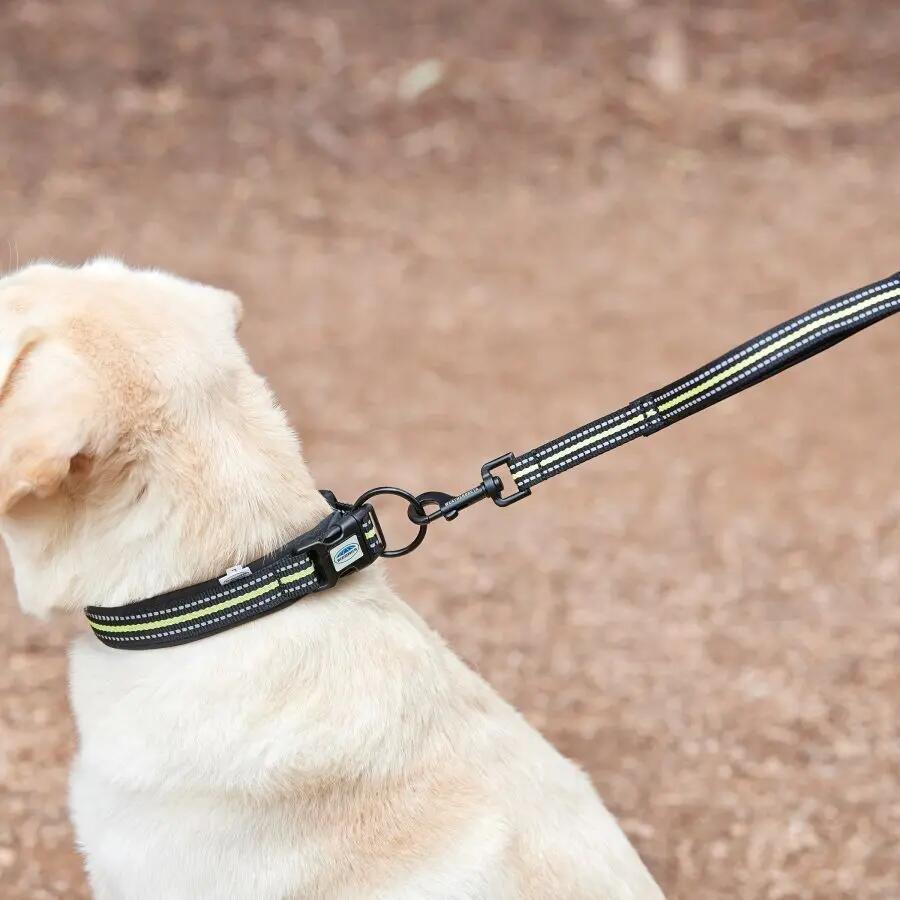 Reflektierendes Hundehalsband Weatherbeeta 2/4