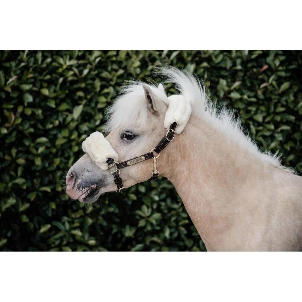 Licol Cuir Sheepskin Pony 2/4