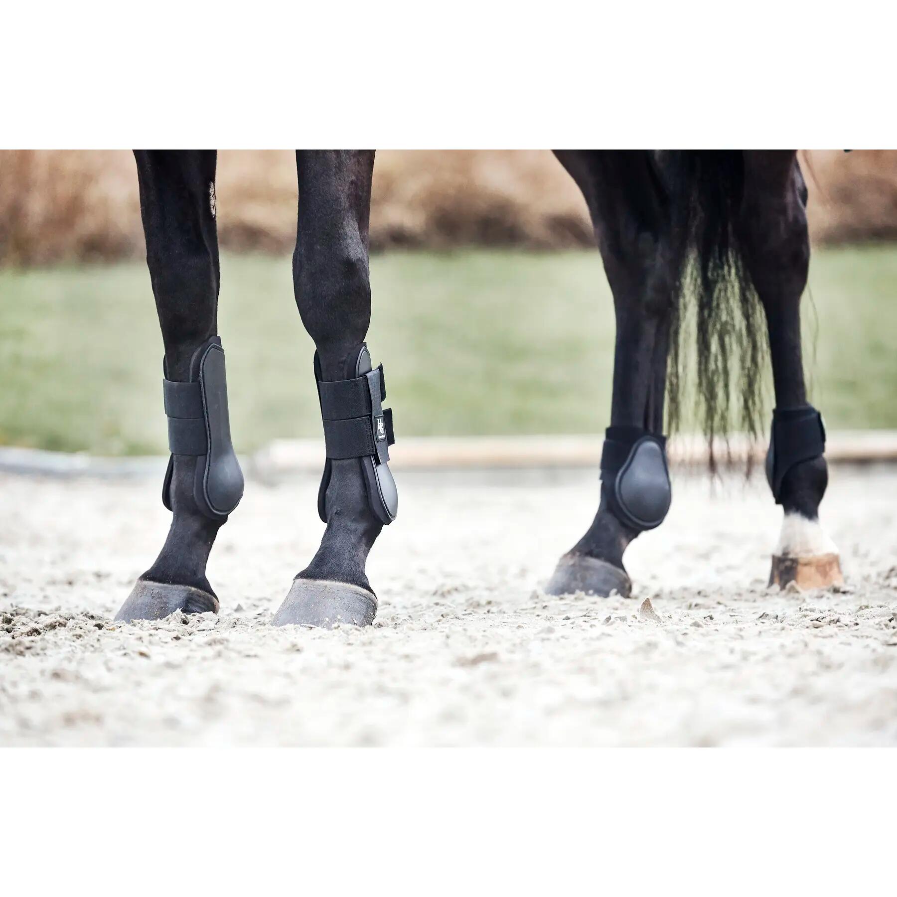 Flettenti di cavallo HorseGuard 2/2