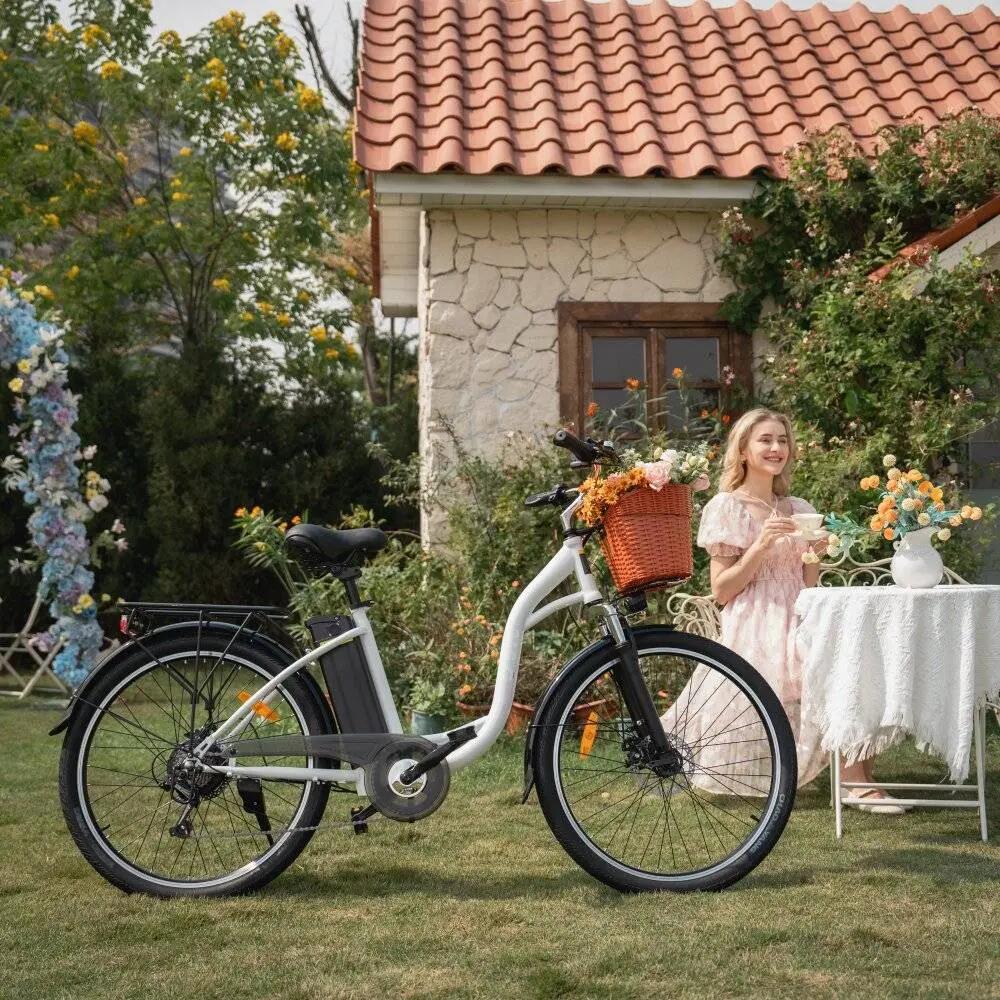 Bicicleta elétrica urbana adulto DYU C6 250W 36V12.5AH 26" Pneu largo 7/7