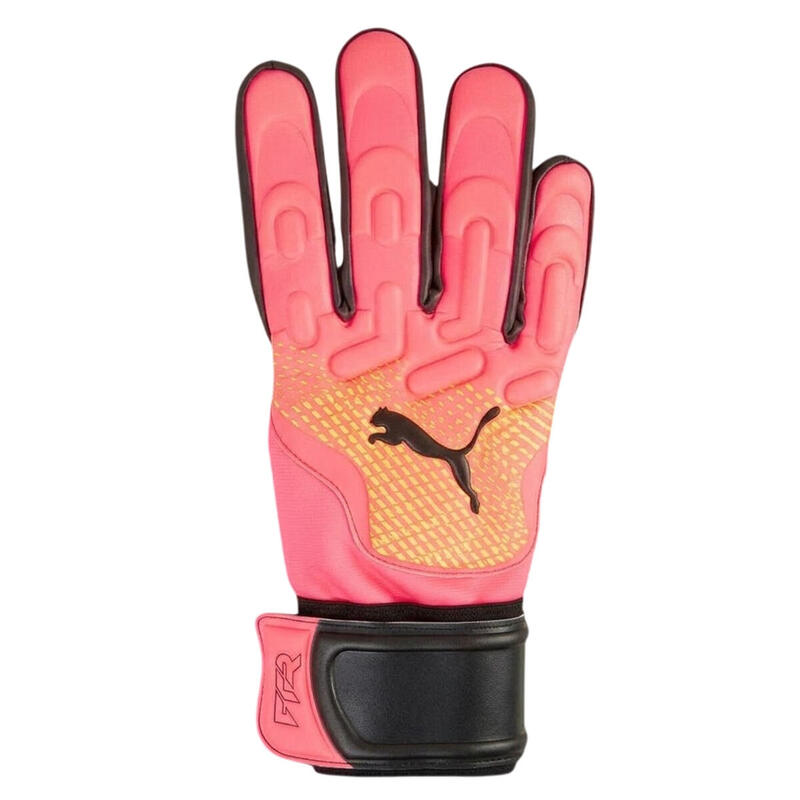 3aed7bb5-19cf-45d2-99c0-0bfe710fb7e4_c24