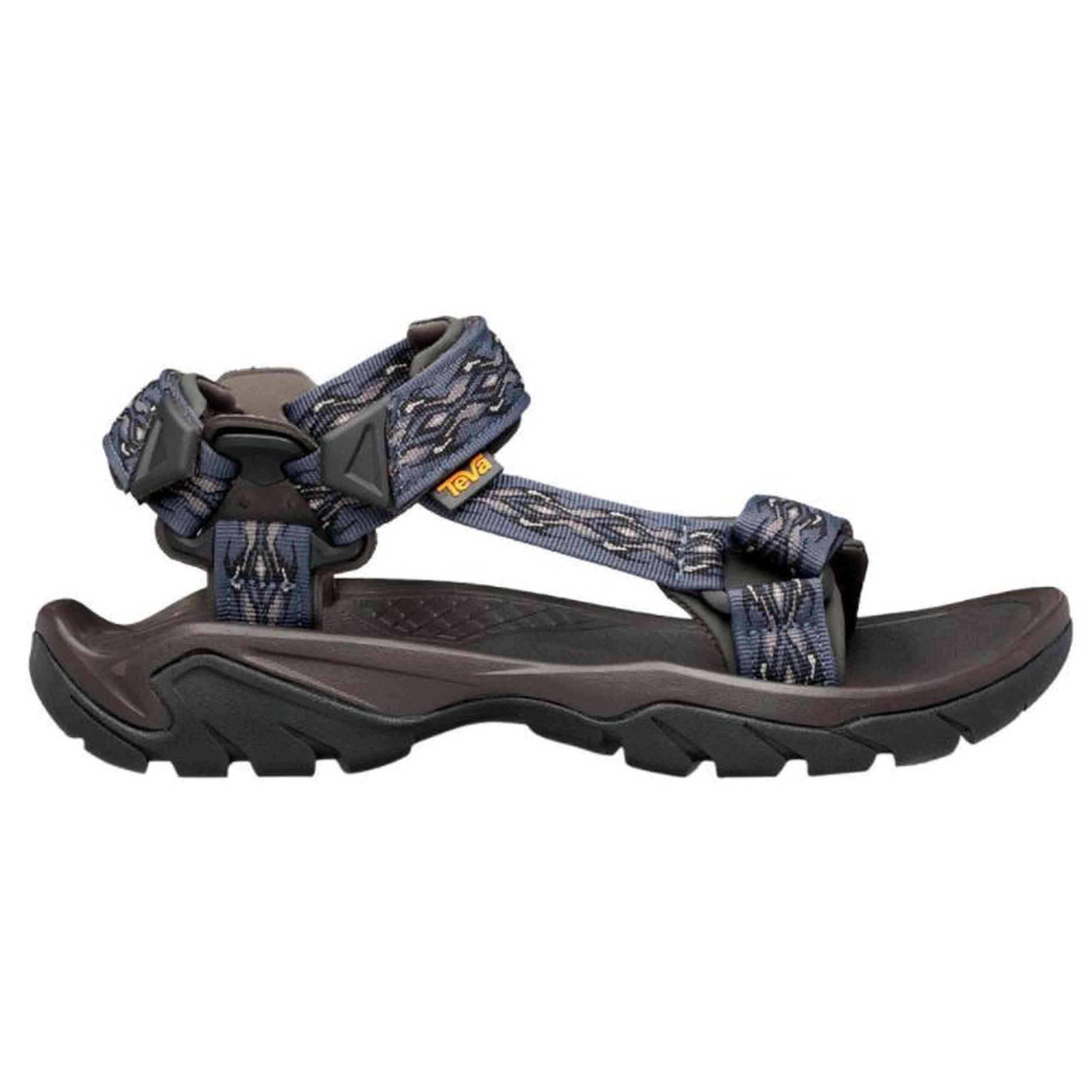 TEVA picture