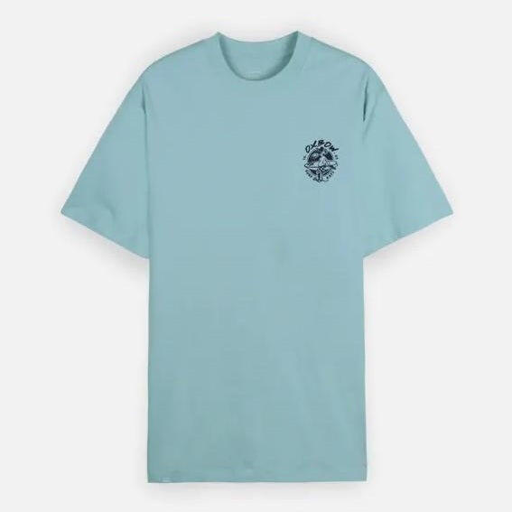 45e99c75-c4f7-4f25-99e9-53874cd5383c_c255