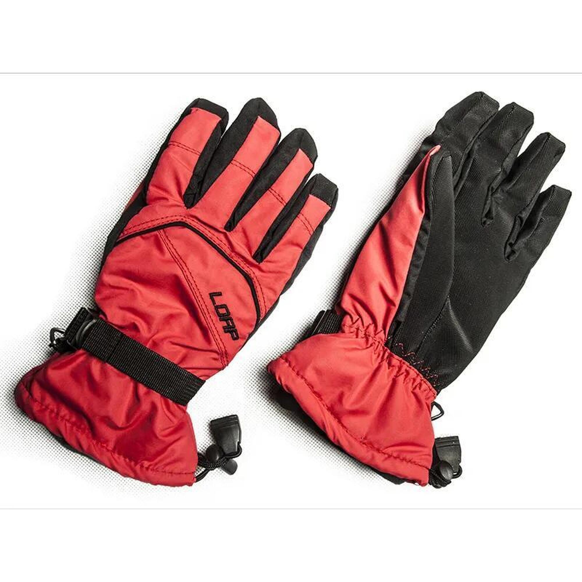 d23e3f53-8bb3-44e0-ac06-4e06f055428e_c1