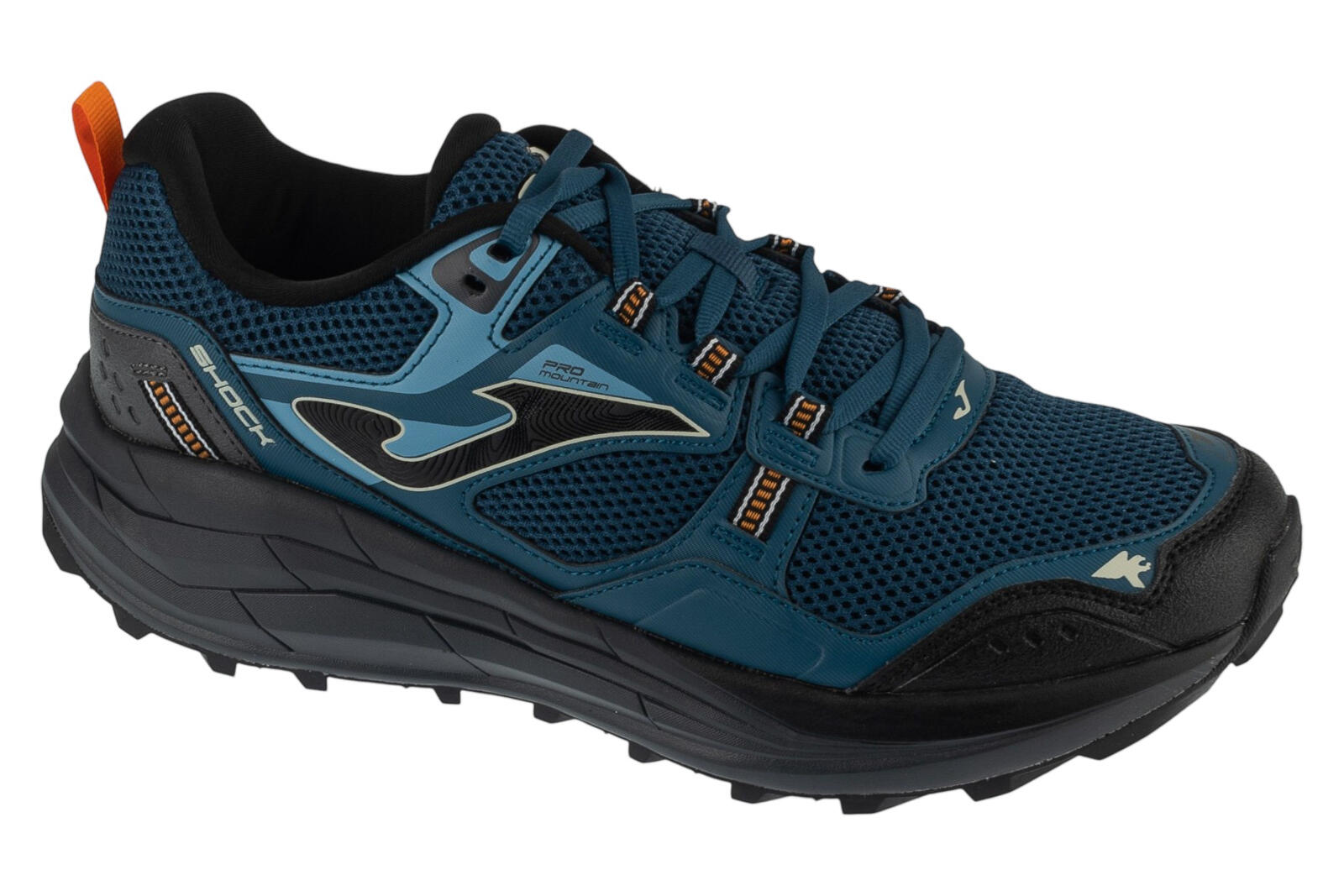 JOMA picture
