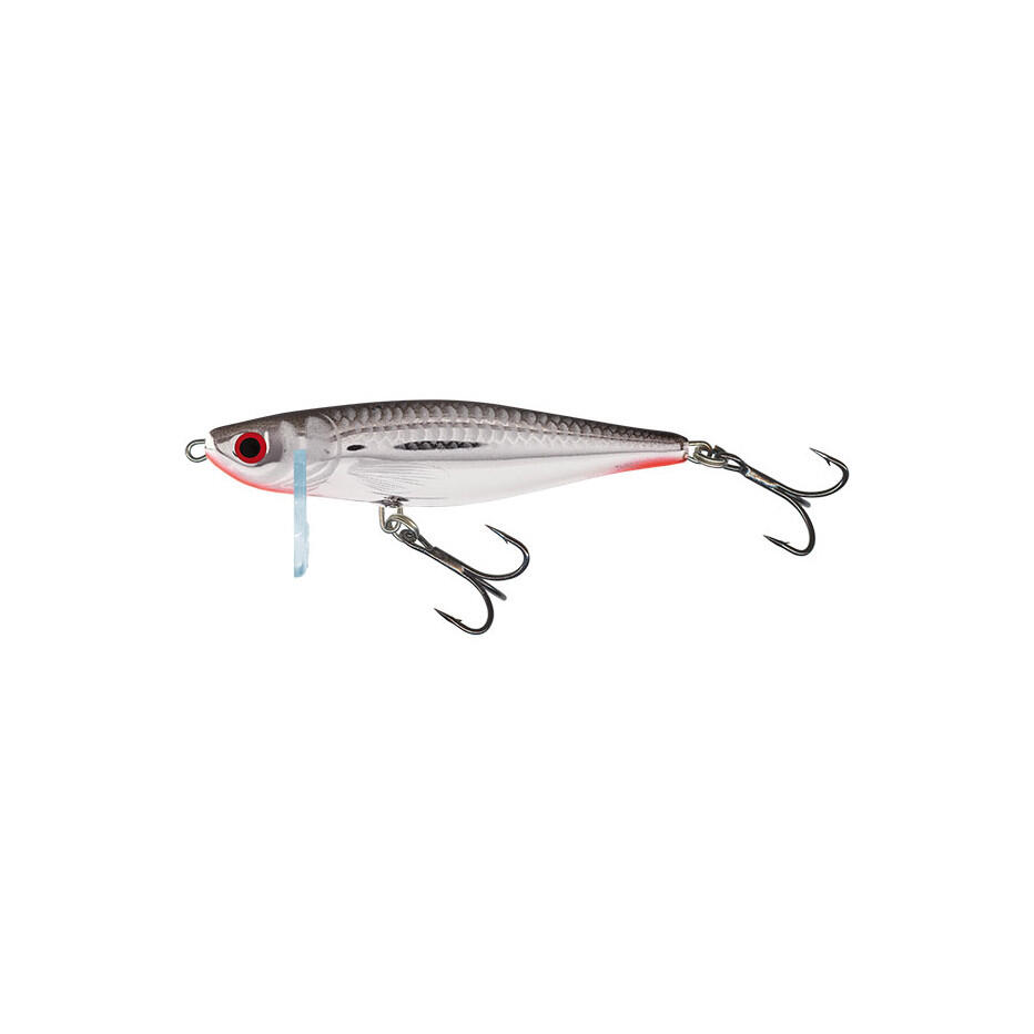 SALMO picture