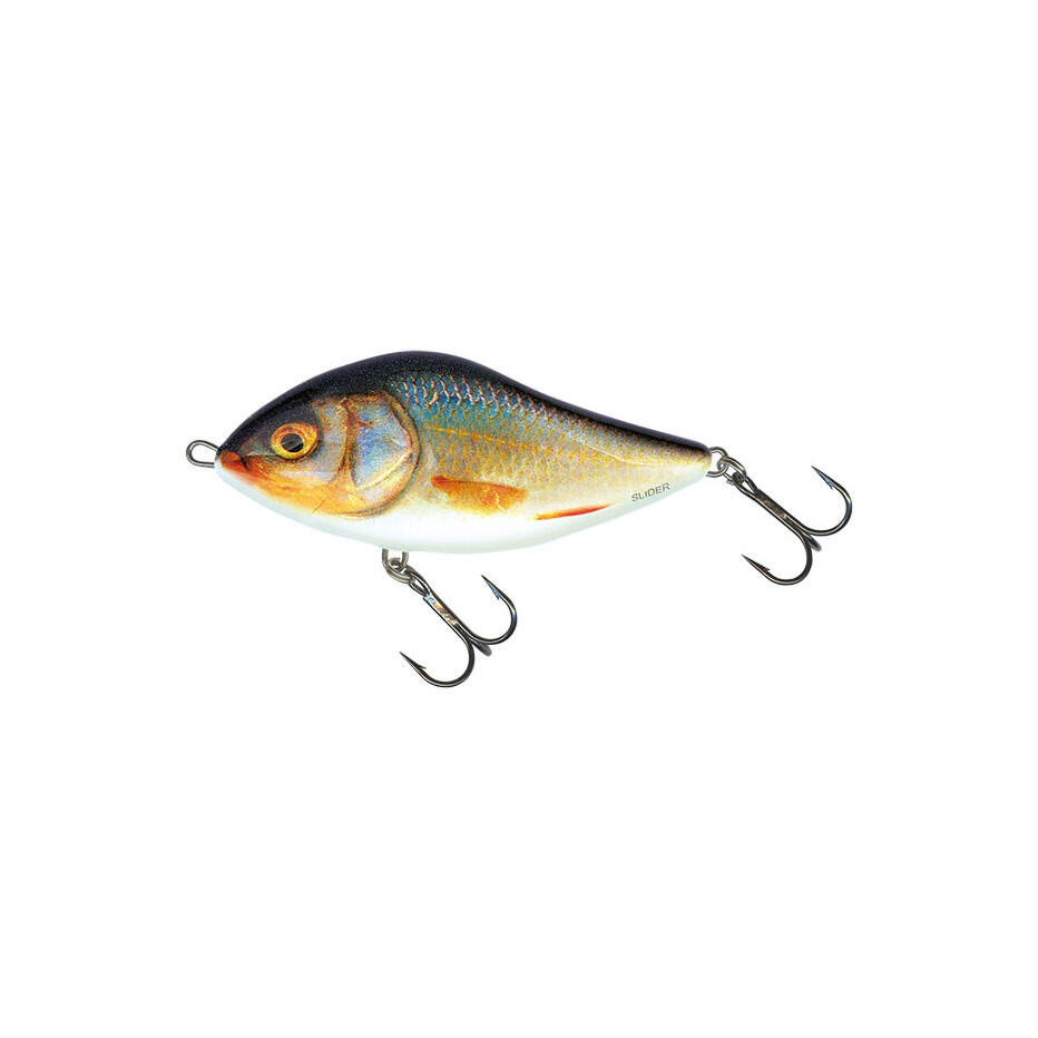 SALMO picture